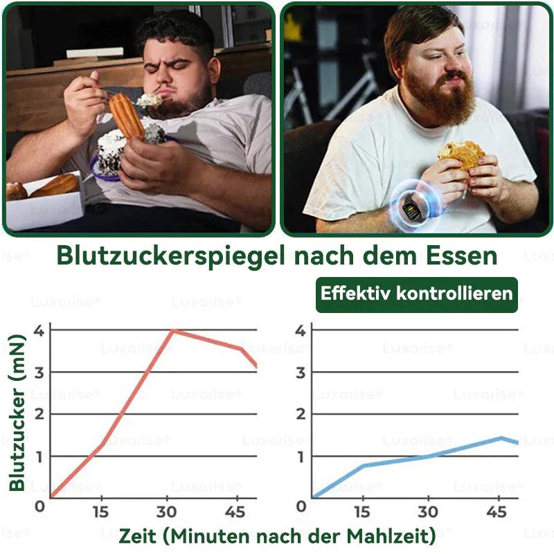 Vorschaubild 8